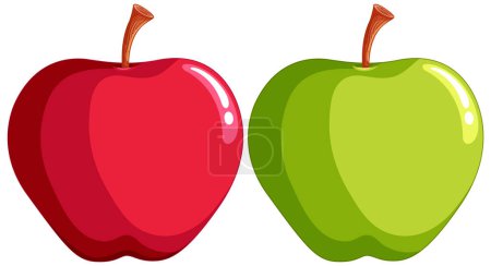 Téléchargez les illustrations : Graphique vectoriel d'une pomme rouge et d'une pomme verte - en licence libre de droit