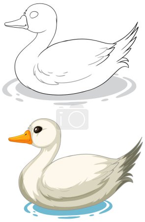 Illustration for Two stylized vector ducks floating on water - Royalty Free Image