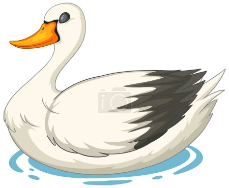 Vector ilustración de un cisne blanco flotando