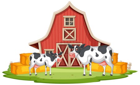 Photo for Two cows outside a barn with hay bales. - Royalty Free Image