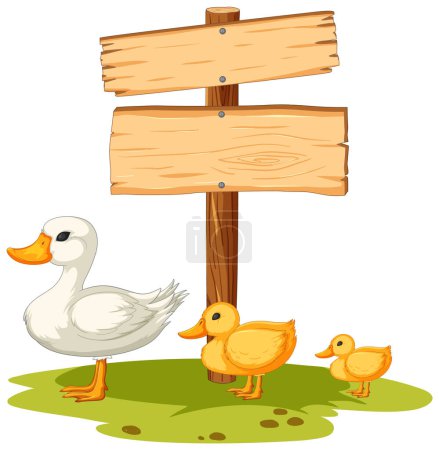 Vector illustration of ducks near a blank sign