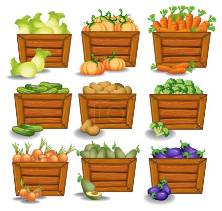 Ilustración de Varias verduras frescas en cajas rústicas de madera - Imagen libre de derechos