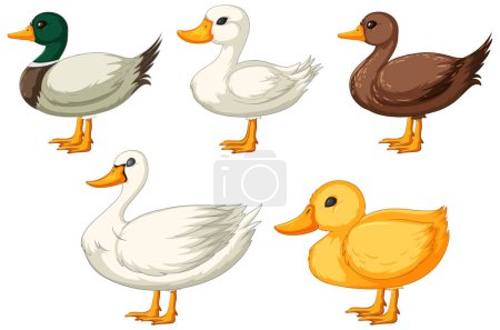 Five different styled cartoon ducks standing.