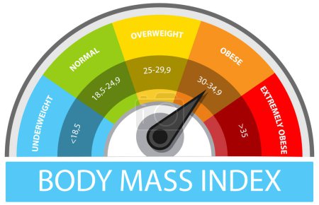 Illustration for Colorful BMI gauge showing weight categories - Royalty Free Image