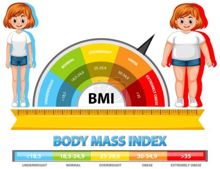 Visual representation of BMI categories and ranges
