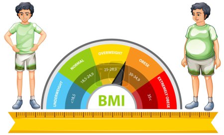 Illustration de l'échelle IMC et des catégories de poids