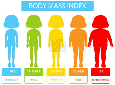 Abbildung der BMI-Kategorien und -Bereiche