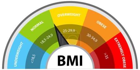 Ilustración de Medidor colorido del IMC que muestra categorías de peso - Imagen libre de derechos