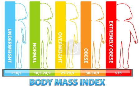 Visuelle Darstellung von BMI-Kategorien