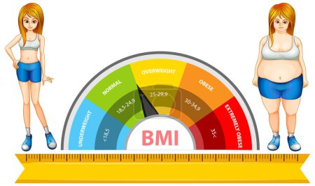 Illustration of BMI scale and two women