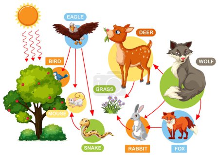 Ilustración de Representa a los animales y sus fuentes de alimento - Imagen libre de derechos
