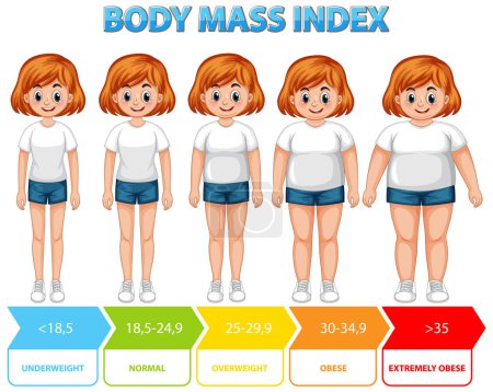 Illustration for Visual representation of BMI categories and ranges - Royalty Free Image