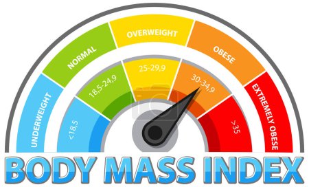 Jauge BMI colorée montrant les catégories de poids
