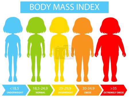 Abbildung der BMI-Kategorien und -Bereiche