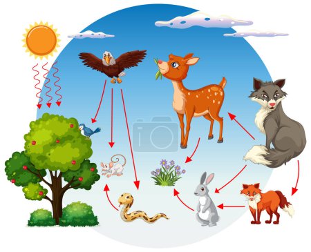 Illustration for Depicts a forest food chain with various animals - Royalty Free Image