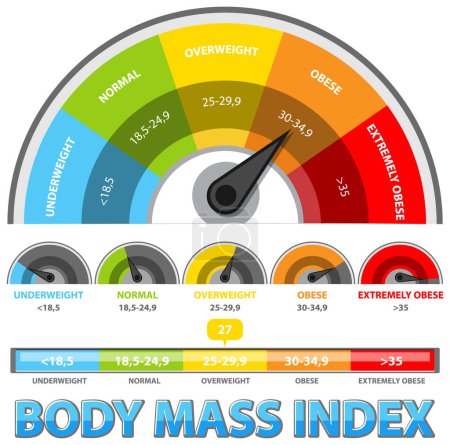 Illustration for Colorful BMI scale with categories and ranges - Royalty Free Image