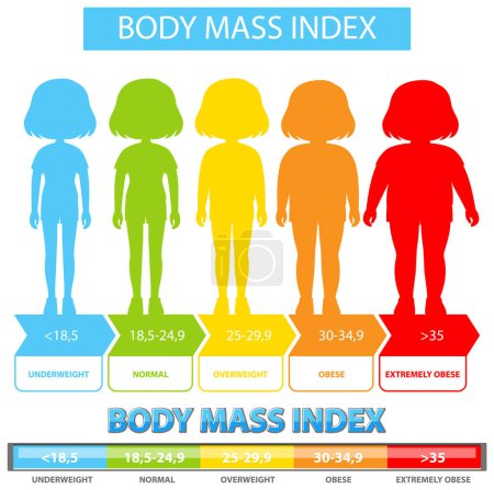 Visuelle Darstellung von BMI-Kategorien und -Bereichen