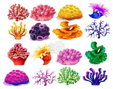 Vibrant vector illustrations of various coral types