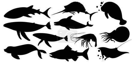 Black silhouettes of various sea creatures