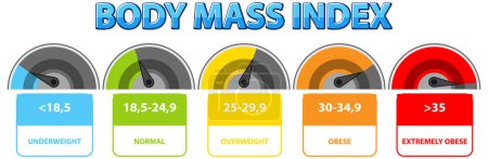 Illustration for BMI ranges from underweight to extremely obese - Royalty Free Image