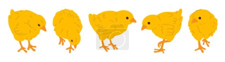 Photo for Vector illustration set of cute doodle baby chicks for digital stamp,greeting card,sticker,icon,Easter design - Royalty Free Image