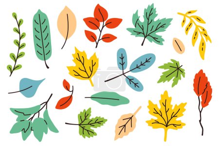Photo for Vector illustration set of cute doodle colored autumn leaves for digital stamp,greeting card,sticker,icon,design - Royalty Free Image