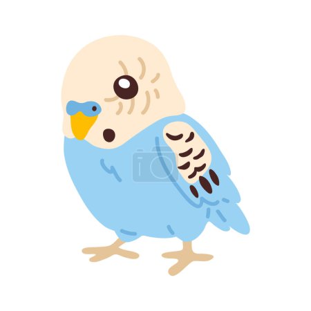 Photo for Vector illustration cute doodle sky budgerigar for digital stamp,greeting card,sticker,icon,design - Royalty Free Image