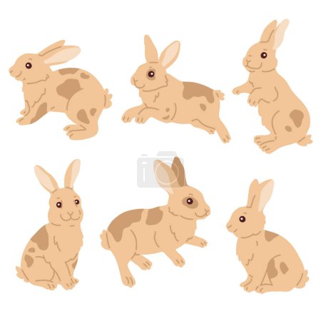 Illustration for Vector illustration set of cute Easter bunnies for digital stamp,greeting card,sticker,icon,design - Royalty Free Image