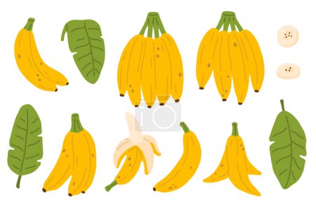 Foto de Conjunto de ilustración vectorial de plátanos y hojas para sello digital, tarjeta de felicitación, pegatina, icono, diseño - Imagen libre de derechos