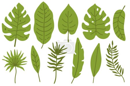 Foto de Conjunto de ilustración vectorial de hojas tropicales para sello digital, tarjeta de felicitación, pegatina, icono, diseño - Imagen libre de derechos