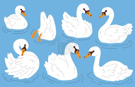 Photo for Vector illustration set of cute swans for digital stamp,greeting card,sticker,icon,design - Royalty Free Image