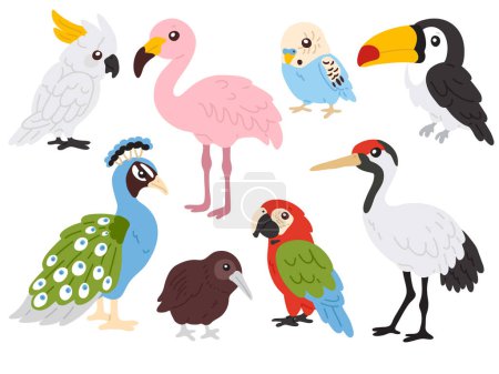 Photo for Vector illustration set of cute tropical birds for digital stamp,greeting card,sticker,icon,design - Royalty Free Image