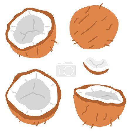 Photo for Vector illustration set of coconuts for digital stamp,greeting card,sticker,icon,design - Royalty Free Image
