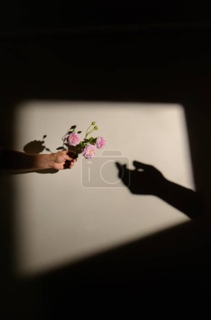 Photo for Man hand Offer Dog rose (Rosa canina) flower to a Woman Hand Shadow - Royalty Free Image