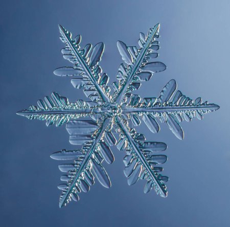 Photo for Natural snowflake crystal in blue background. High quality photo - Royalty Free Image