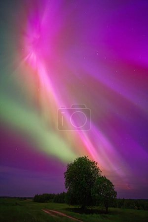 La aurora boreal es un fenómeno atmosférico espectacular que se asemeja a un arco iris en el cielo, con vibrantes luces verdes bailando a través del paisaje natural