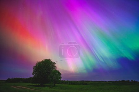 The aurora borealis is a spectacular atmospheric phenomenon that resembles a rainbow in the sky, with vibrant green lights dancing across the natural landscape