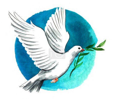 Fliegende weiße Taube mit Olivenzweig. Handgezeichnete Tusche und Aquarell auf Papier