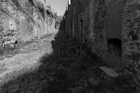 Téléchargez les photos : Quartier dégradé dans la vieille ville de Castelo de Vide. Portugal. - en image libre de droit