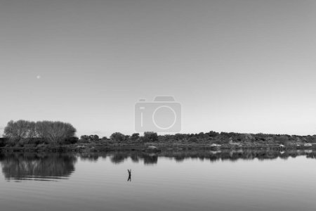 Landscape in the Molano reservoir. Spain.