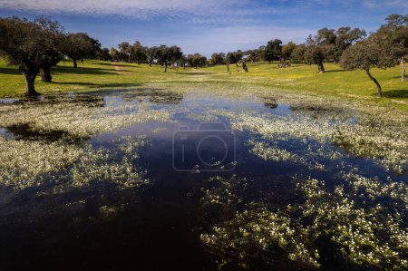Landschaft in Dehesa de la Luz. Extremadura. Spanien.