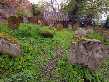 Photo for Old Graveyard with a Mausoleum that houses the graves of the Hamilton family. Barons Haugh Nature Reserve,RSPB Scotland Baron's Haugh nature reserve, Motherwell, North Lanarkshire, Scotland.UK. Is a real gem for wildlife - Royalty Free Image