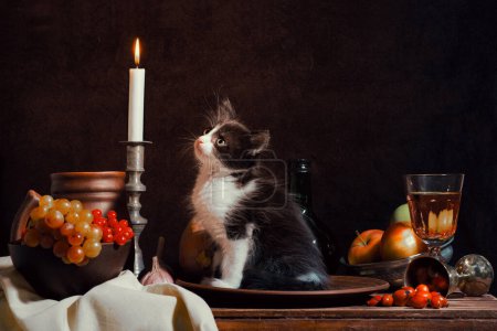 Téléchargez les photos : Nature morte de chaton noir et blanc assis dans une plaque d'argile et regardant une bougie allumée sur fond sombre - en image libre de droit