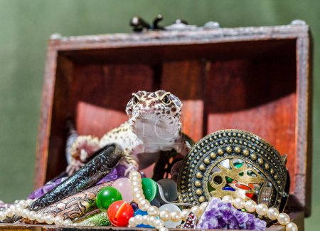 Foto de Eublefar manchado brillante sentado en una pila de joyas en un cofre decorativo - Imagen libre de derechos