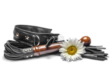 Photo for Bdsm leather lash and black collar with yellow daisy flowers on a white background - Royalty Free Image