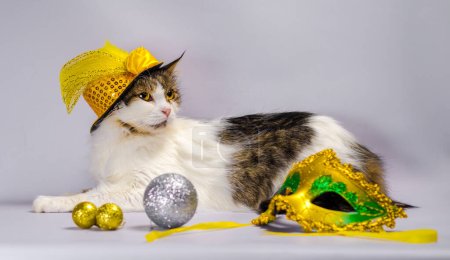 Photo for Wicked cat in a yellow carnival hat with sequins bow and a feather next to a mask and Christmas balls - Royalty Free Image