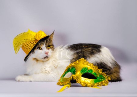 Téléchargez les photos : Chat méchant dans un chapeau de carnaval jaune avec paillettes arc et une plume à côté d'un masque et boules de Noël - en image libre de droit