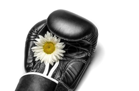 Téléchargez les photos : Gant de boxe avec une grande fleur de camomille gros plan - en image libre de droit