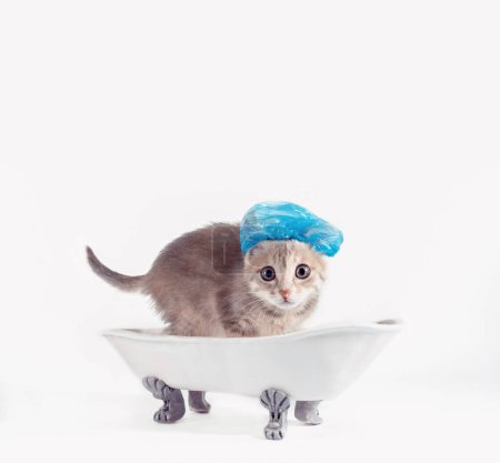 Pflege graues Kätzchen in einer blauen Duschkappe Angst in einem Spielzeug weißen Keramikbad auf silbernen Beinen