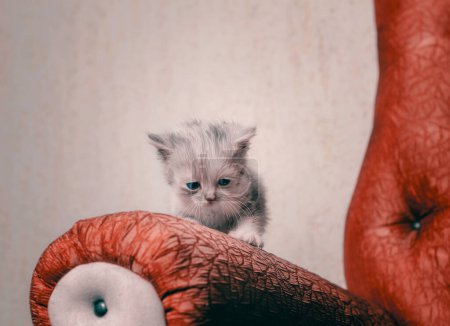Photo for Sad fluffy lonely blue-eyed little kitten on the railing of a red sofa - Royalty Free Image